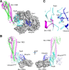 Figure 1—figure supplement 4.