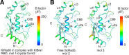 Figure 4—figure supplement 1.