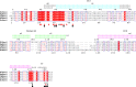 Figure 1—figure supplement 1.