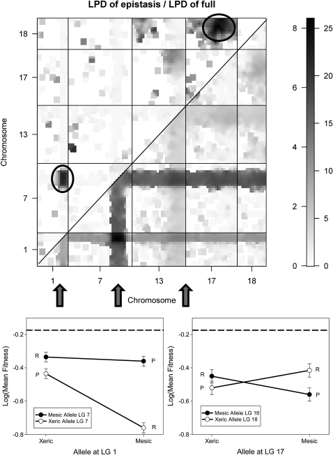 Figure 2.—