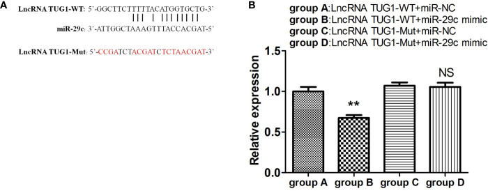 Figure 5