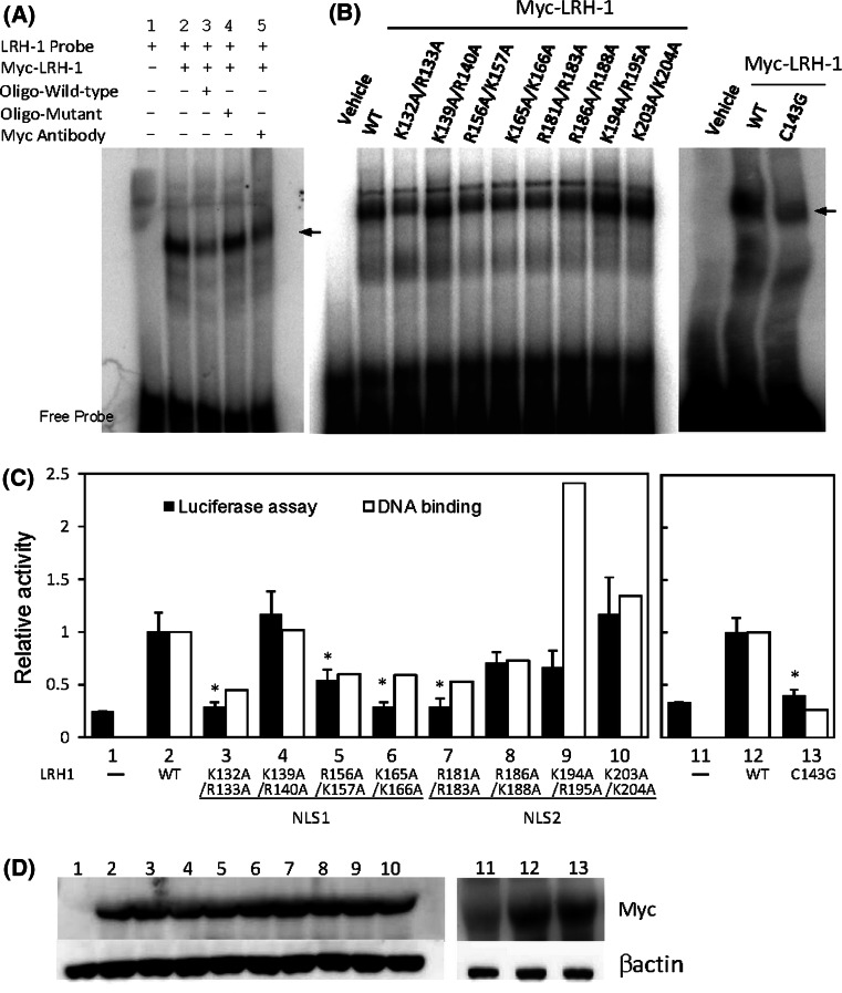 Fig. 6