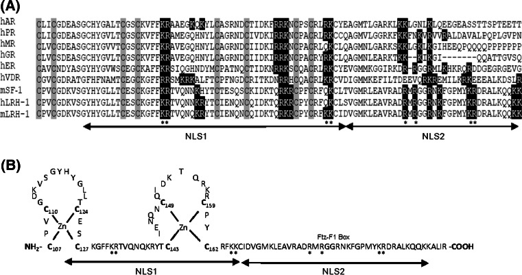 Fig. 7