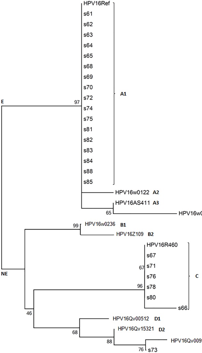 Fig 2