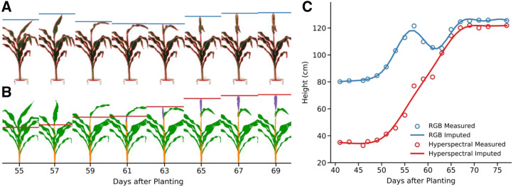 Figure 2.