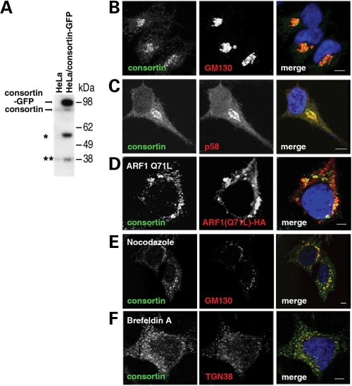 Figure 3.