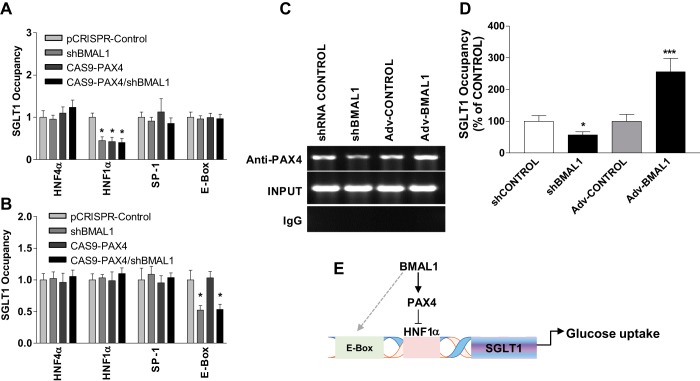 Fig. 8.