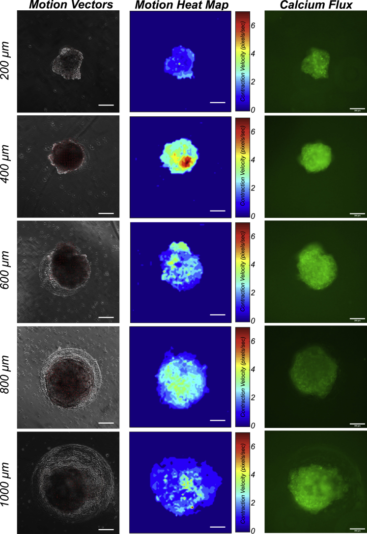 Figure 3