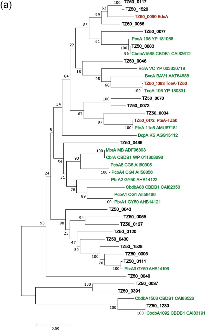 FIG 3