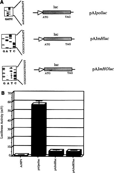 FIG. 8