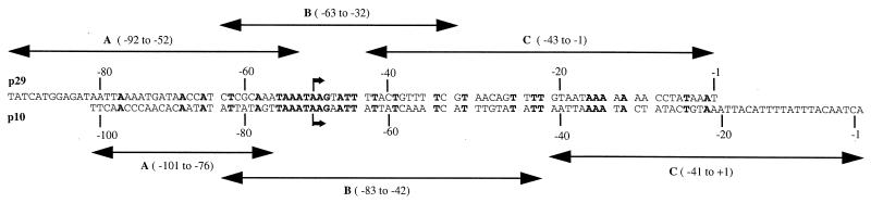 FIG. 1