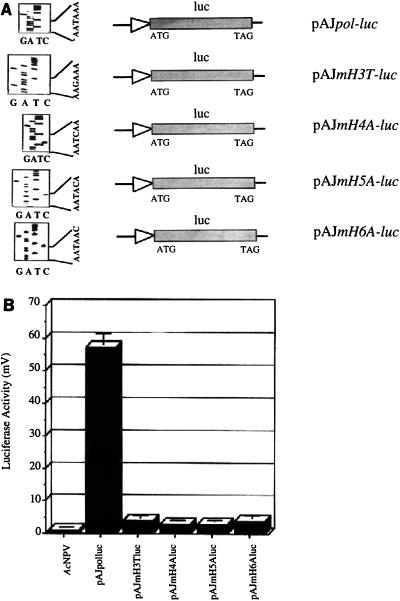 FIG. 9