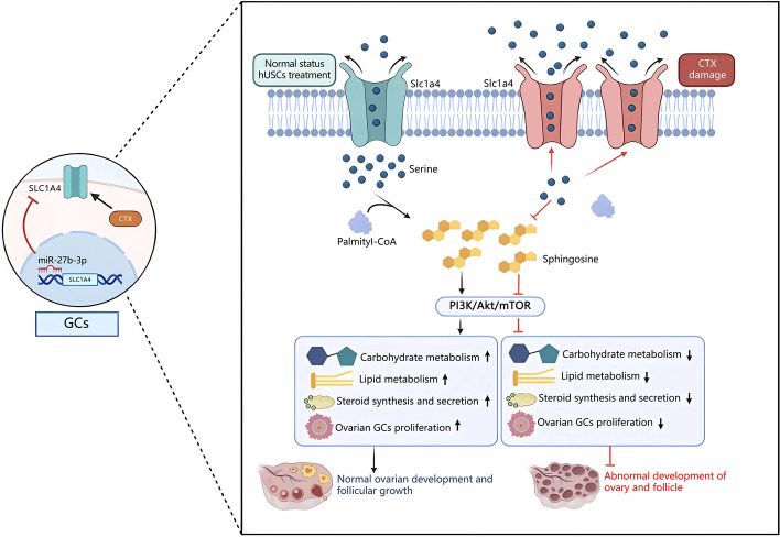 graphic file with name 11658_2025_701_Figa_HTML.jpg