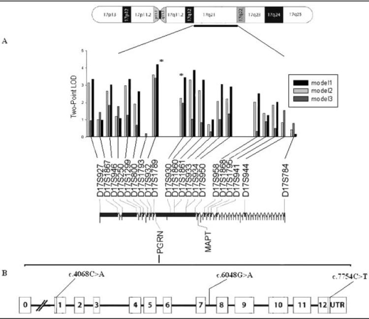 Fig 1