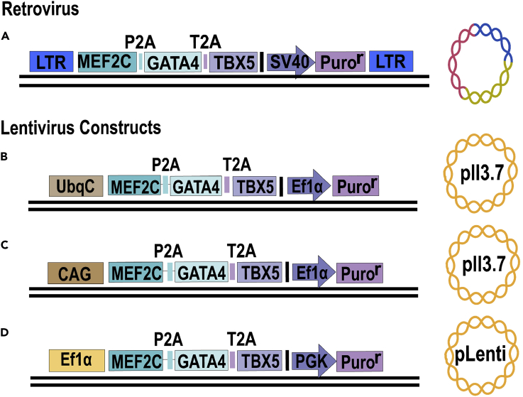 Figure 1