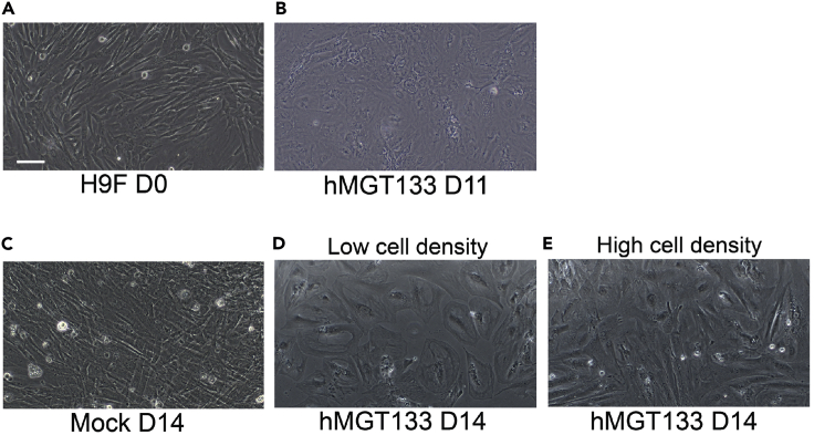 Figure 3