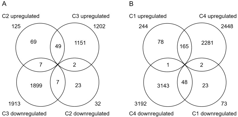 Figure. 3