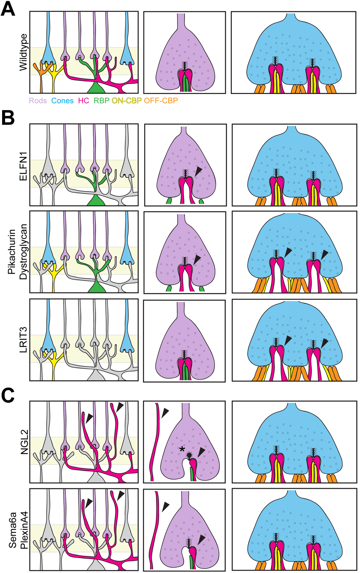 Figure 6.