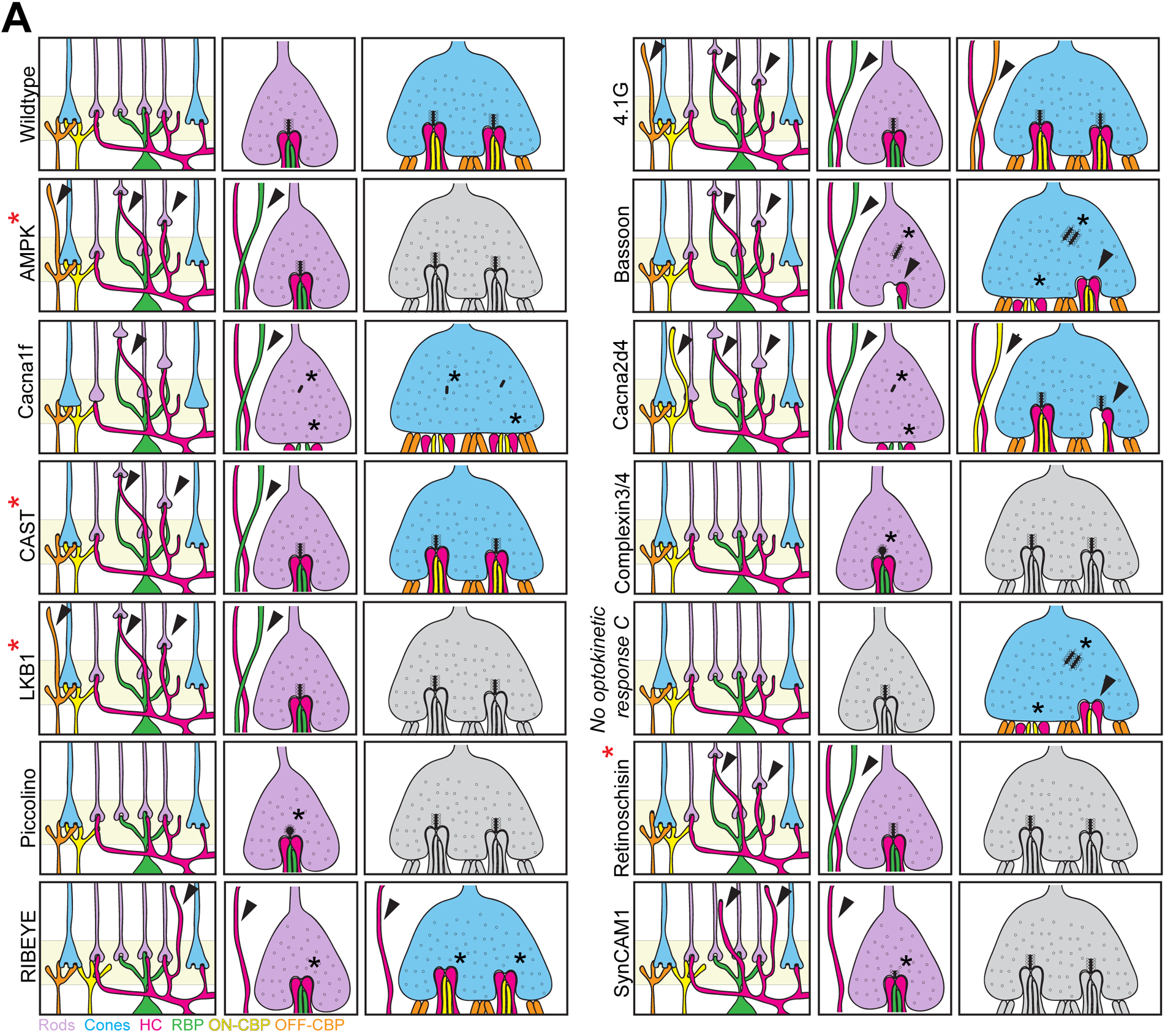 Figure 7.