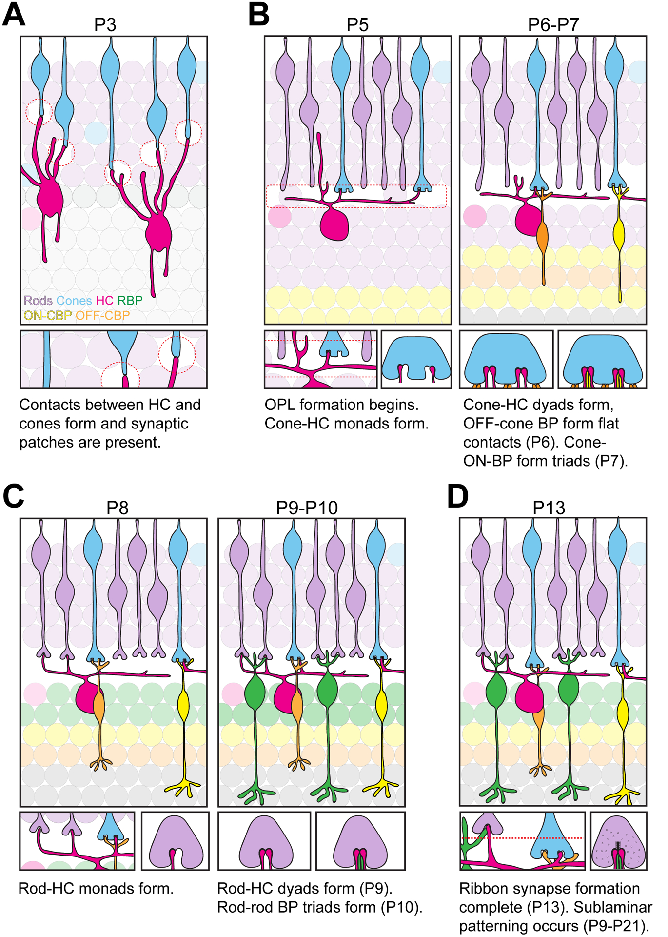 Figure 5.