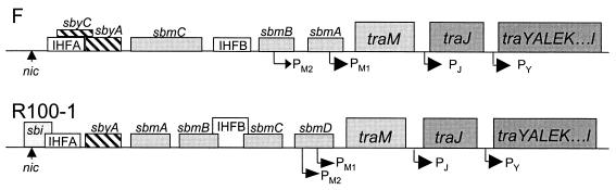 FIG. 1