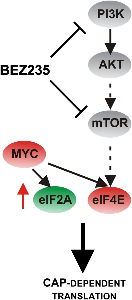 Fig. P1.