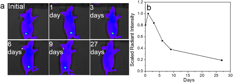 Figure 11