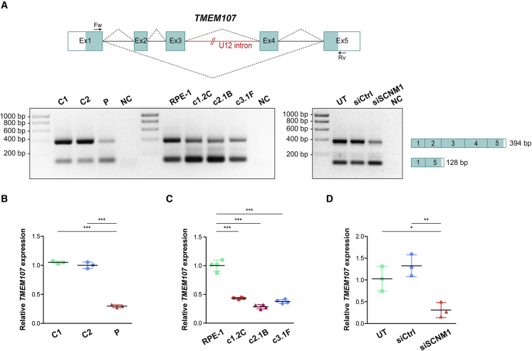 Figure 3