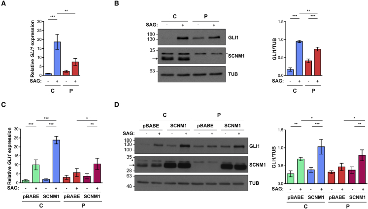 Figure 6