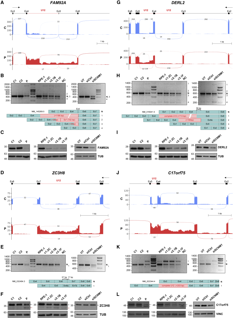 Figure 4