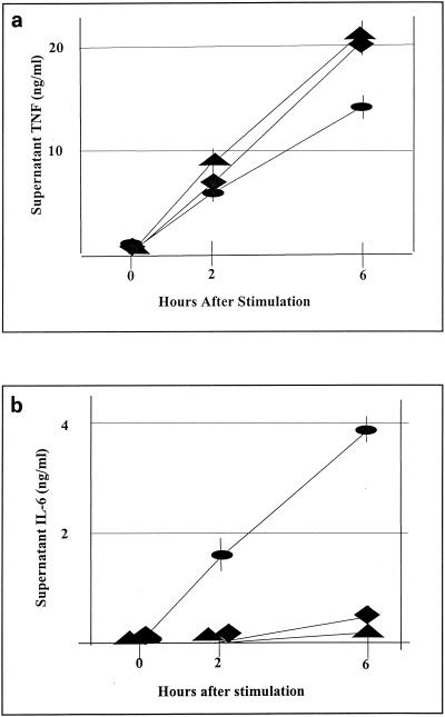 FIG. 5.