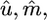 Inline graphic