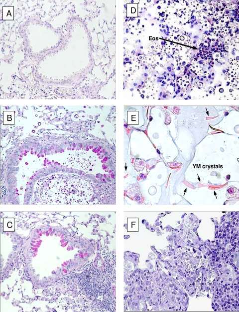 FIG. 5.