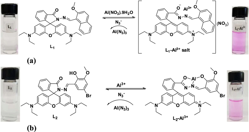 SCHEME 2