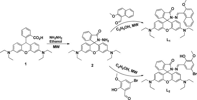 SCHEME 1