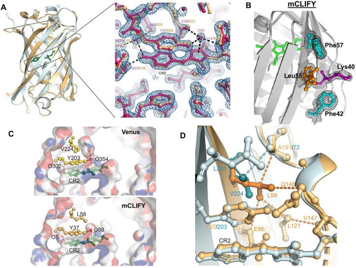 Figure 2: