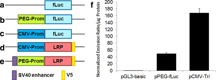 FIG. 1