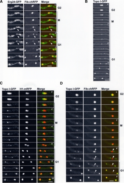 Figure 4.