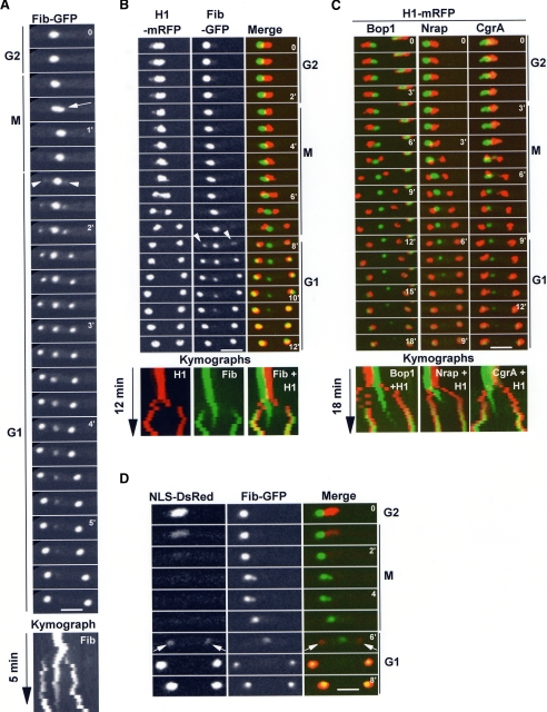 Figure 2.