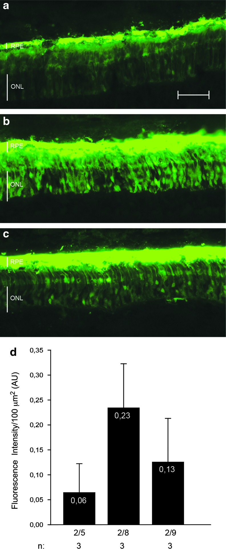 FIG. 1.