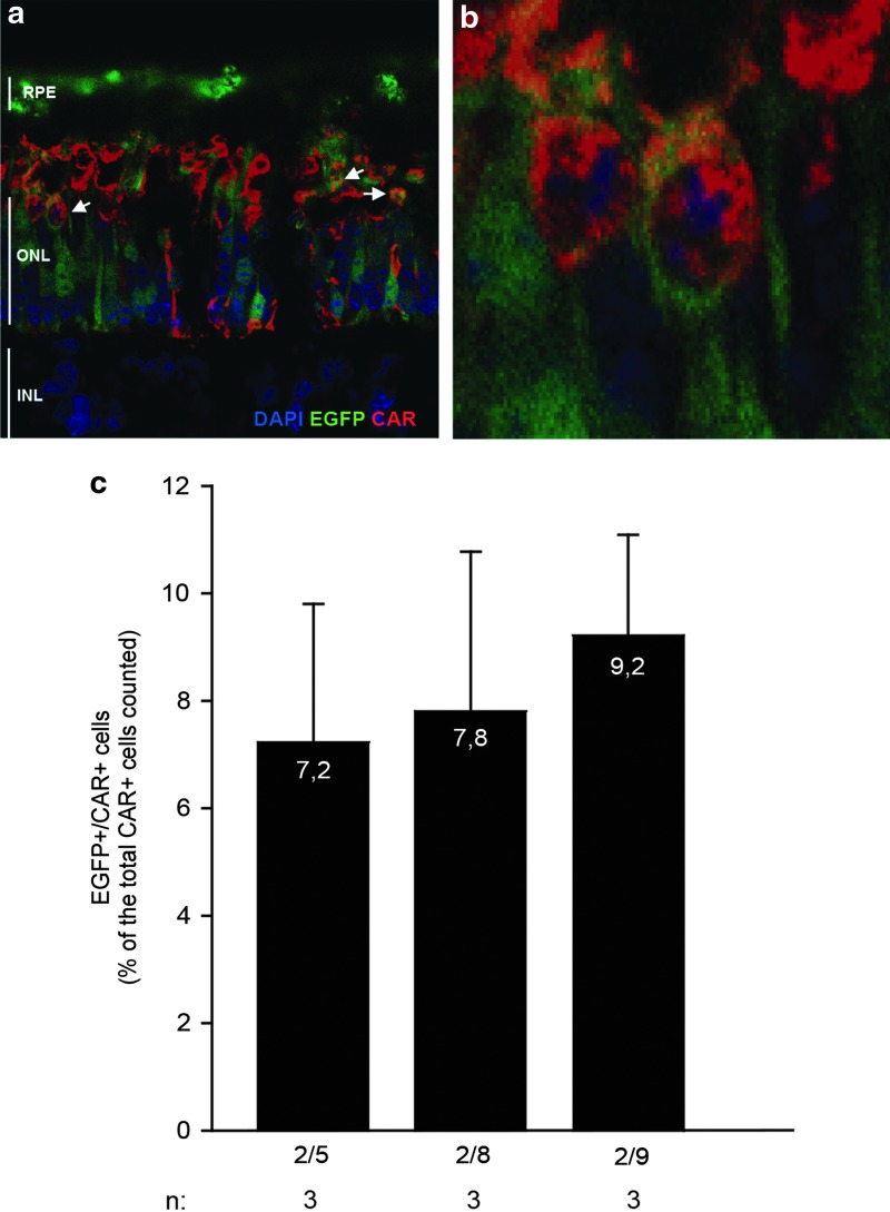 FIG. 2.