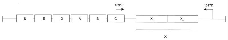 FIG. 1