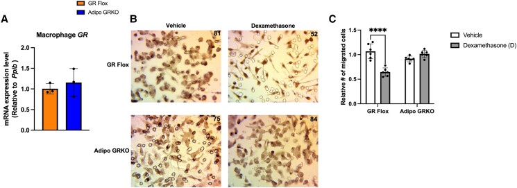 Figure 9.