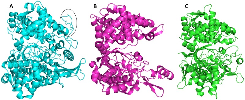 Fig 3