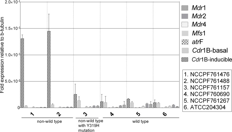 FIG 3