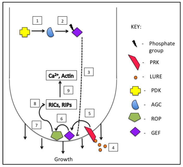 Figure 2