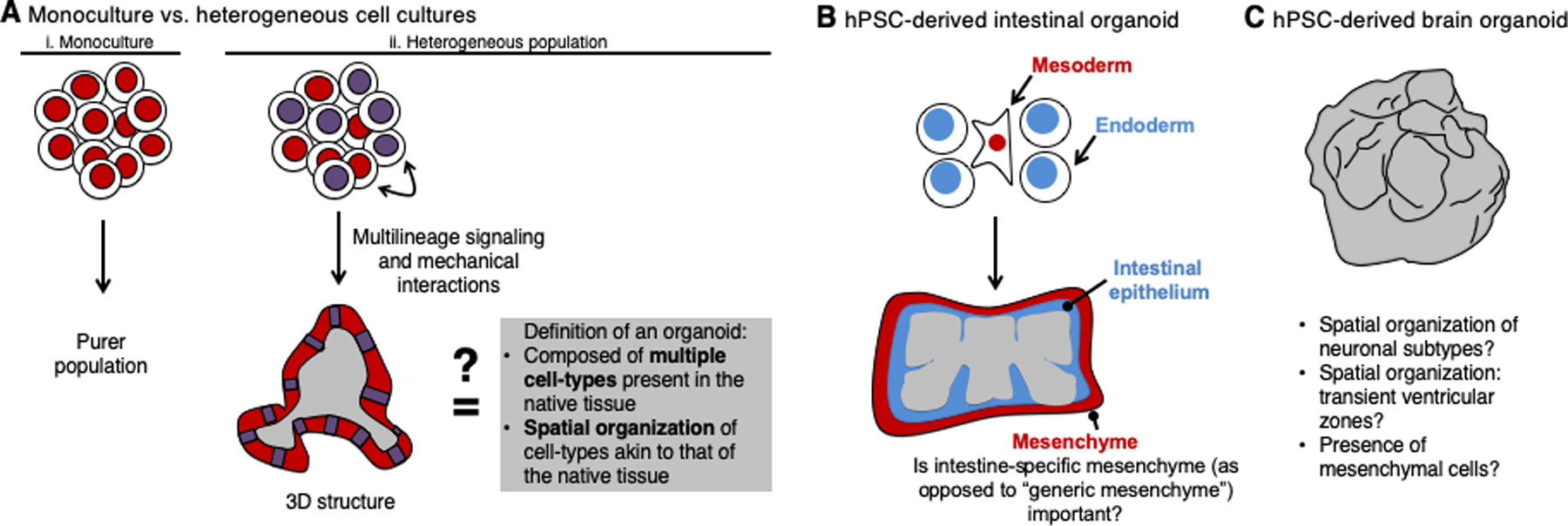 Figure 6: