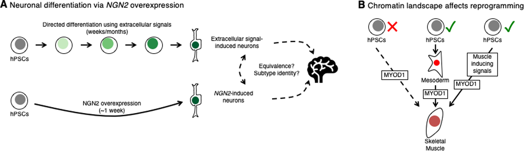 Figure 4: