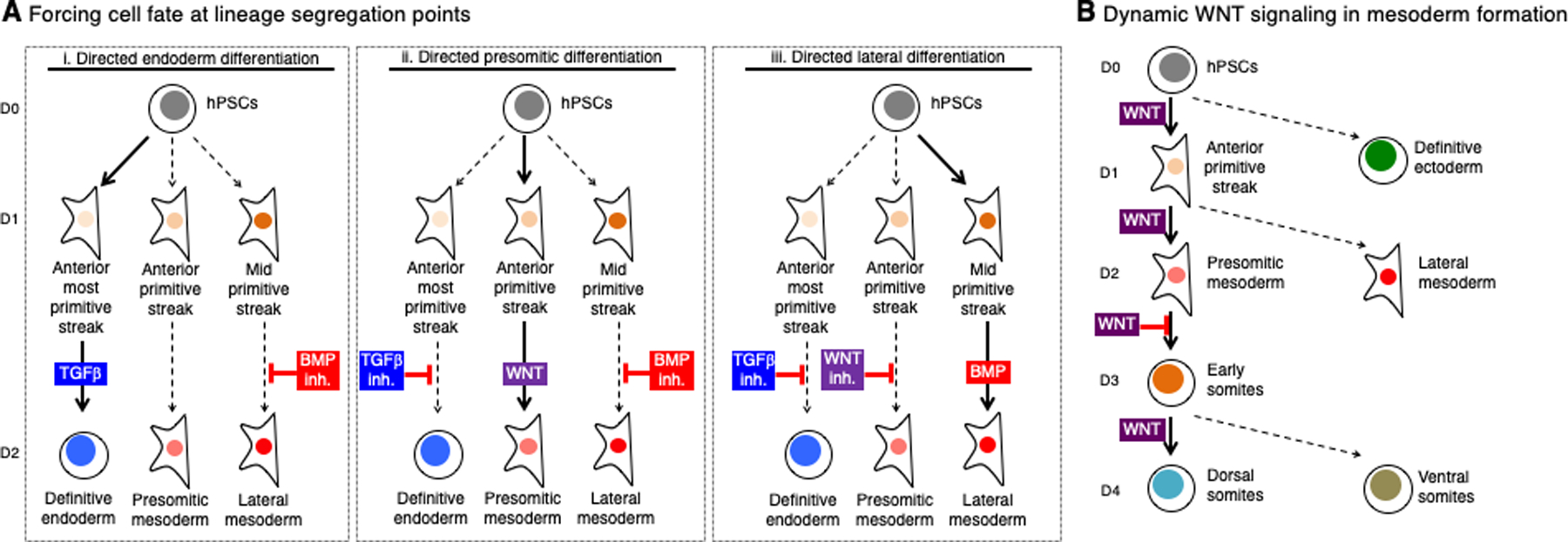 Figure 3: