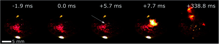 Fig. 3